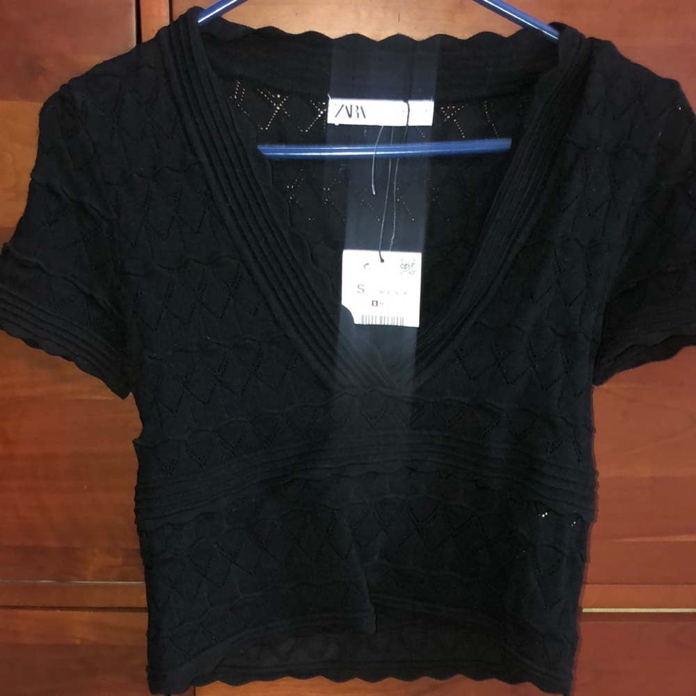 Zara crop top